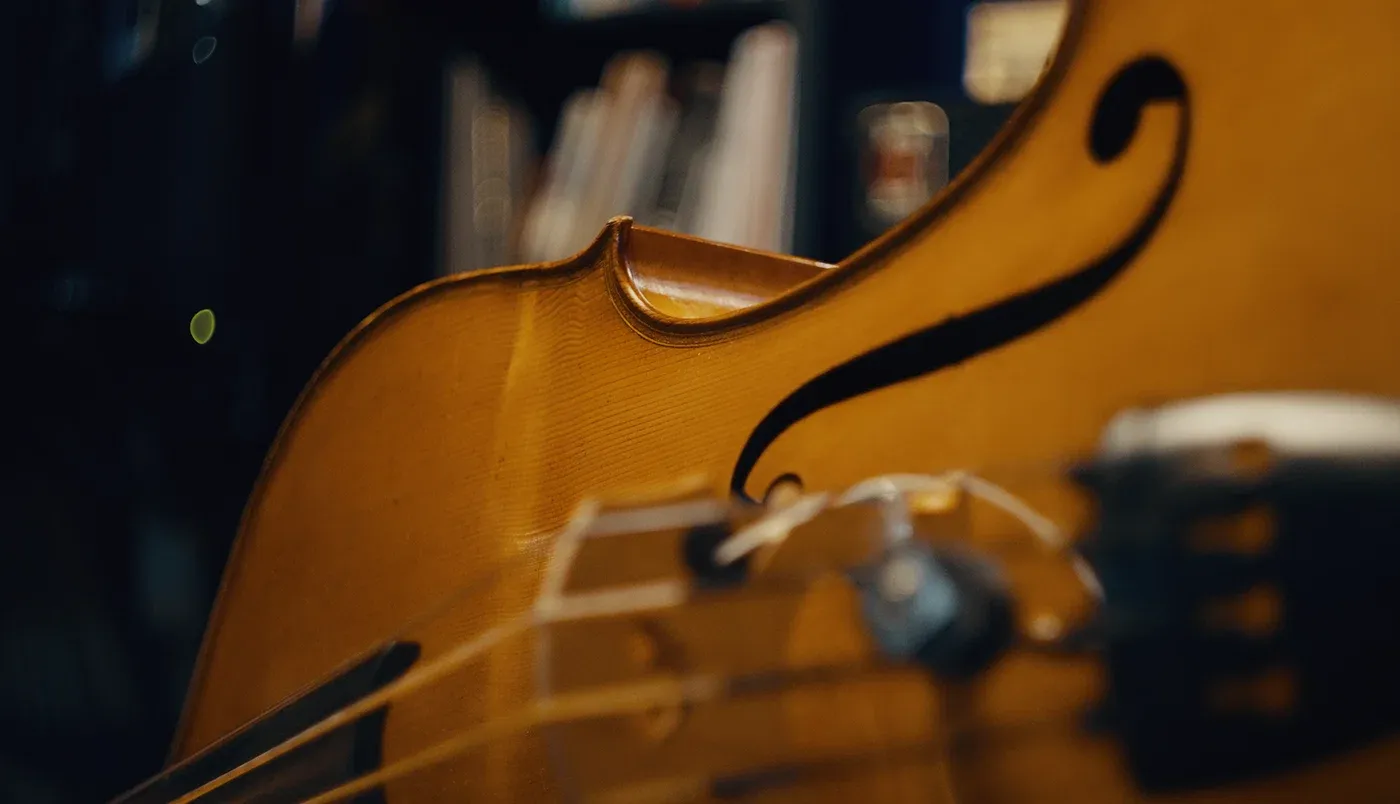 The upper bout of a varnished upright bass lit warmly from the side, its f-hole and bridge in frame.